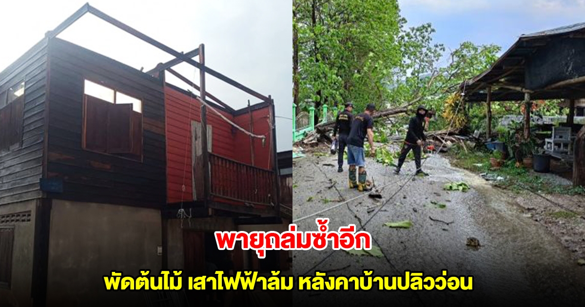 พายุถล่มเมืองเลย ซ้ำวันที่ 2 พัดต้นไม้ เสาไฟฟ้าล้ม บ้านเรือนหลังคาปลิวว่อน
