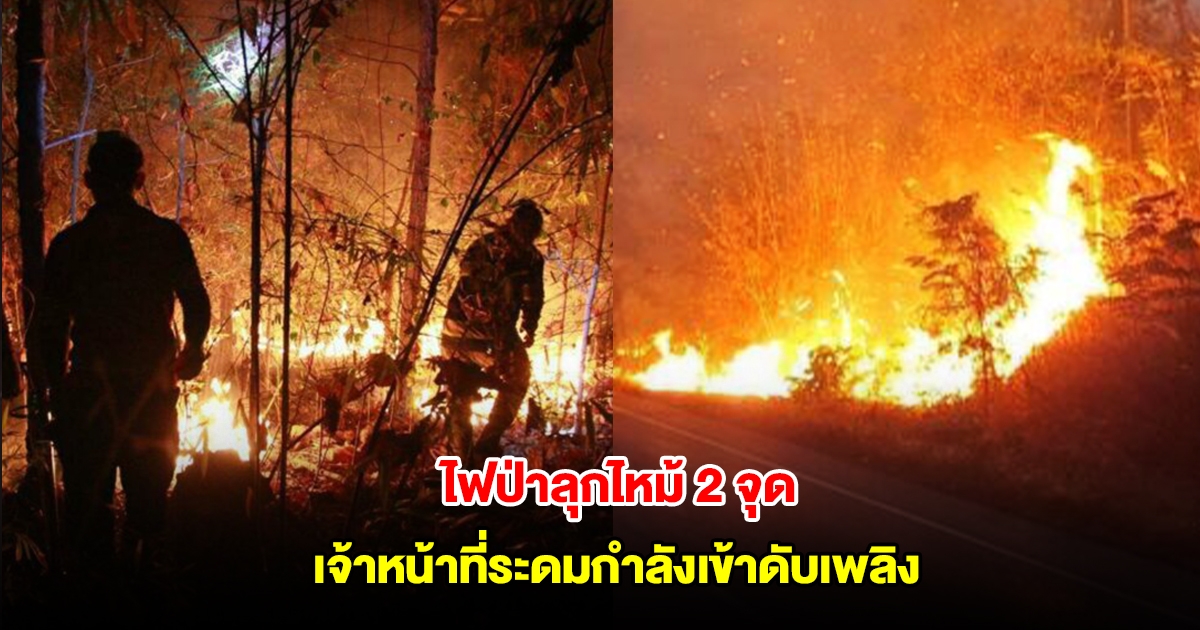 ไฟป่าลุกไหม้ อ.วังทอง 2 จุด เจ้าหน้าที่ระดมกำลังเข้าดับเพลิง