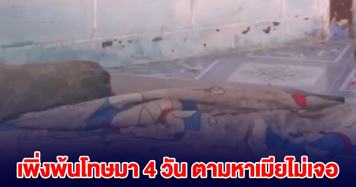 สลด! หนุ่มเพิ่งพ้นโทษมา 4 วัน ตามหาเมียไม่เจอ ตัดสินใจจบชีวิตตัวเอง
