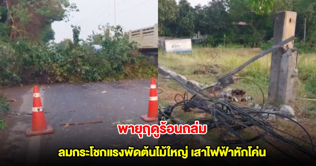 พายุฤดูร้อนถล่มพิจิตร ลมกระโชกแรงพัดต้นไม้ใหญ่ เสาไฟฟ้าหักโค่น