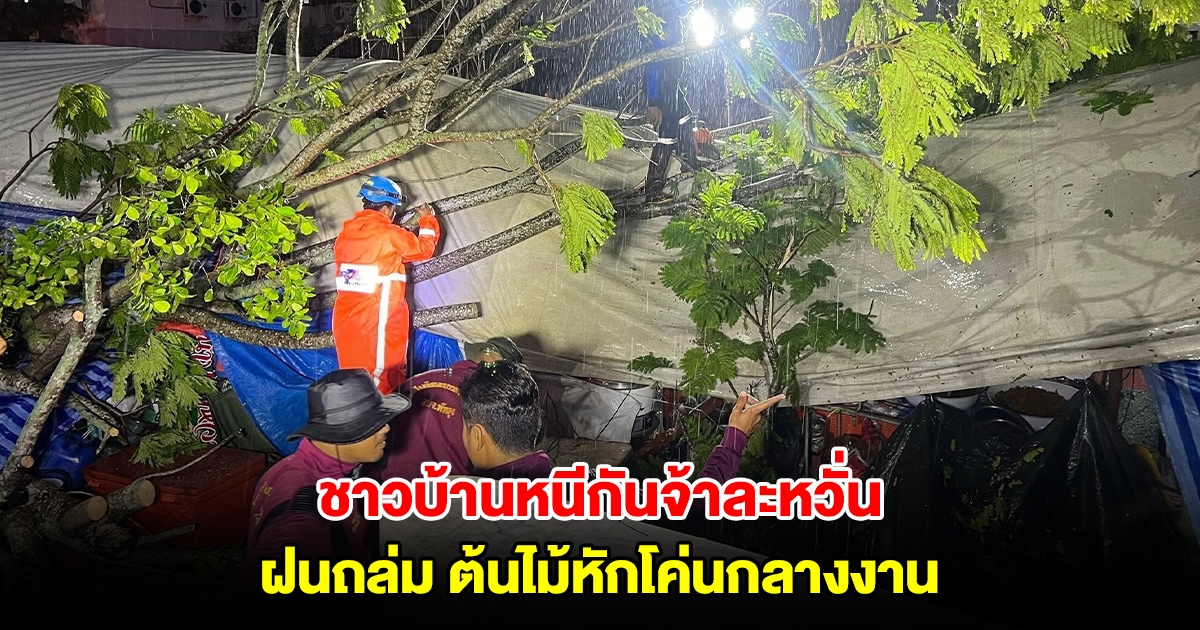 ฝนถล่มพัทลุง ลมซัดต้นไม้โค่นกลางงาน ชาวบ้านหนีกันจ้าละหวั่น