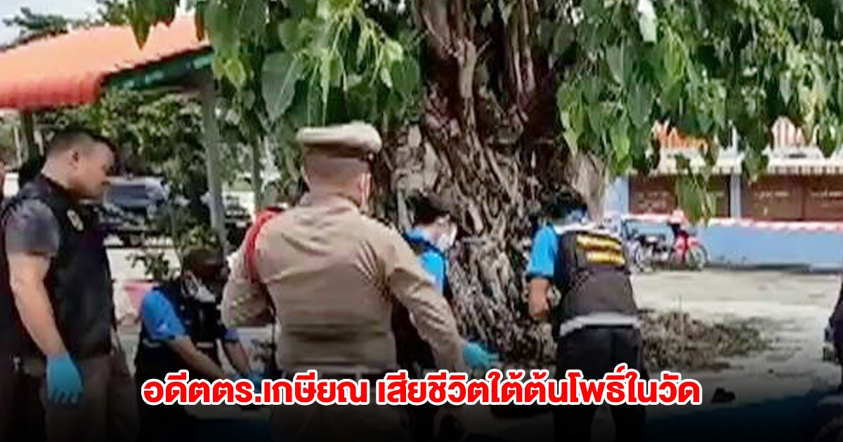 อดีตตร.เกษียณ เสียชีวิตใต้ต้นโพธิ์ในวัด หลังก่อเหตุแล้วหลบหนี
