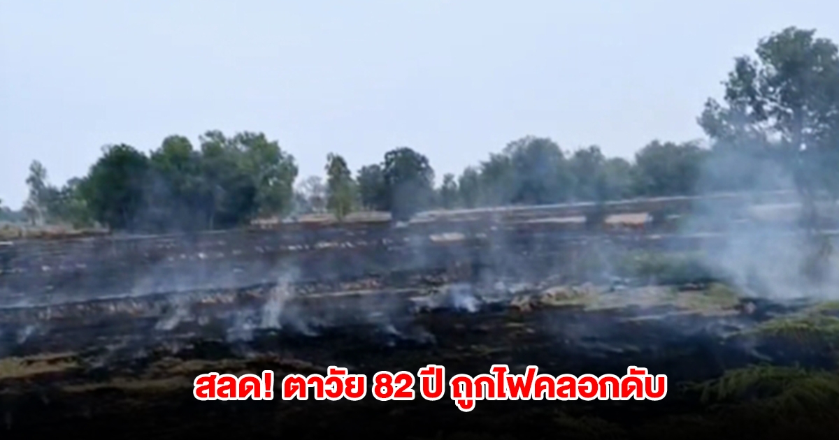 สลด! ตาวัย 82 ปี เผาตอซังเตรียมจะไถกลบที่นา ก่อนถูกไฟลามทุ่งคลอกดับ