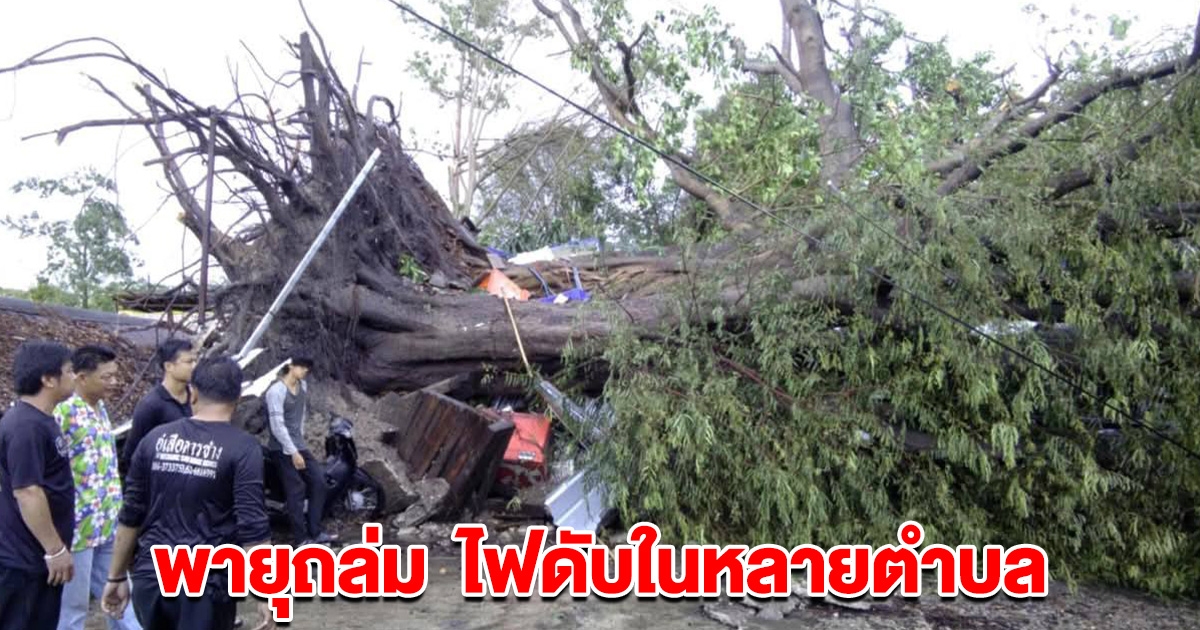 พายุถล่ม ที่เชียงใหม่ ไฟดับในหลายตำบล