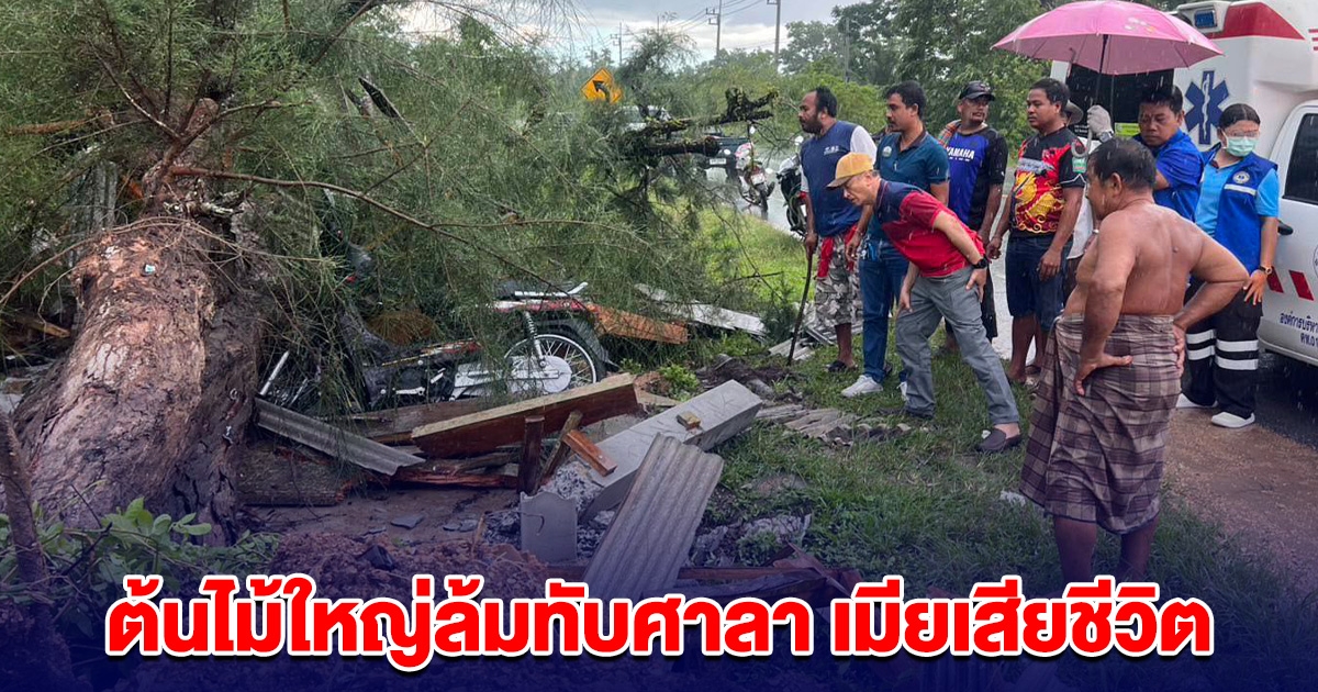 พายุพัดถล่ม สองผัวเมียนั่งหลบฝนในศาลา ต้นไม้ใหญ่ล้มทับ ผัววิ่งหนีทัน เมียเสียชีวิต