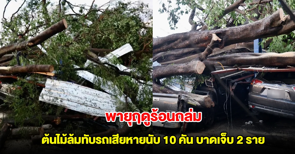 พายุฤดูร้อนถล่มเชียงใหม่ ต้นไม้ล้มทับรถเสียหายนับ 10 คัน บาดเจ็บ 2 ราย