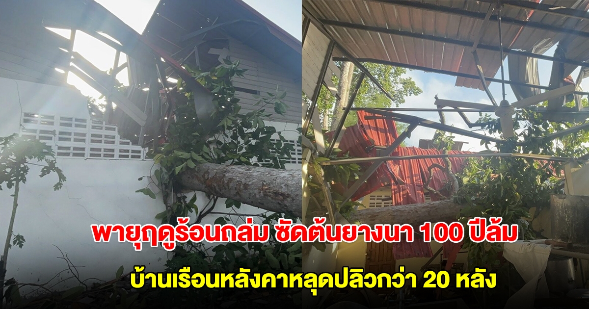ลำปางอ่วม พายุฤดูร้อนถล่ม ซัดต้นยางนาอายุกว่า 100 ปี ล้มทับโรงครัววัด บ้านเรือนหลังคาหลุดปลิวกว่า 20 หลัง