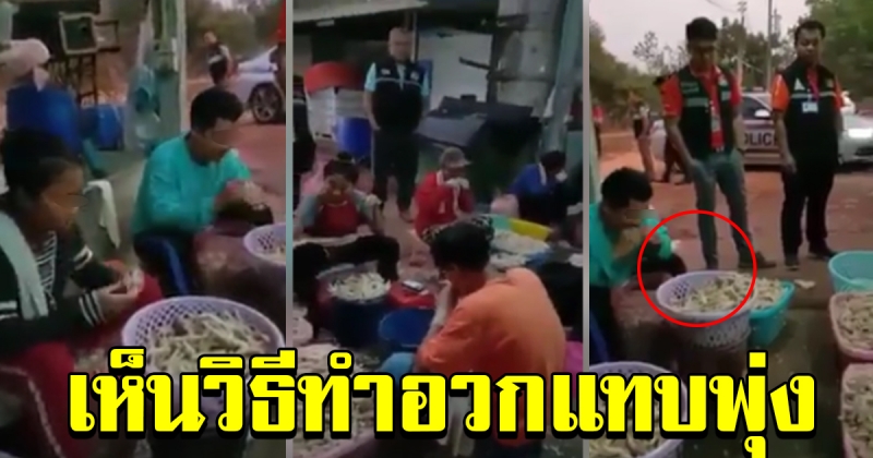การผลิต เล็บมือนาง ในพื้นที่ จังหวัด หนองคาย