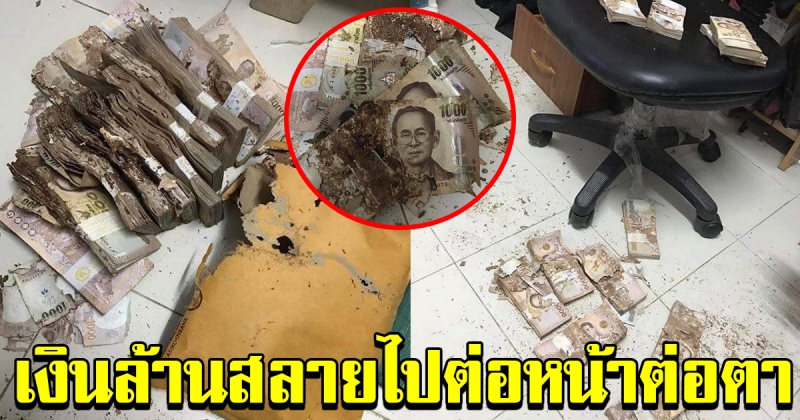 หนุ่มเก็บเงินไว้ใช้ เวลาจำเป็น