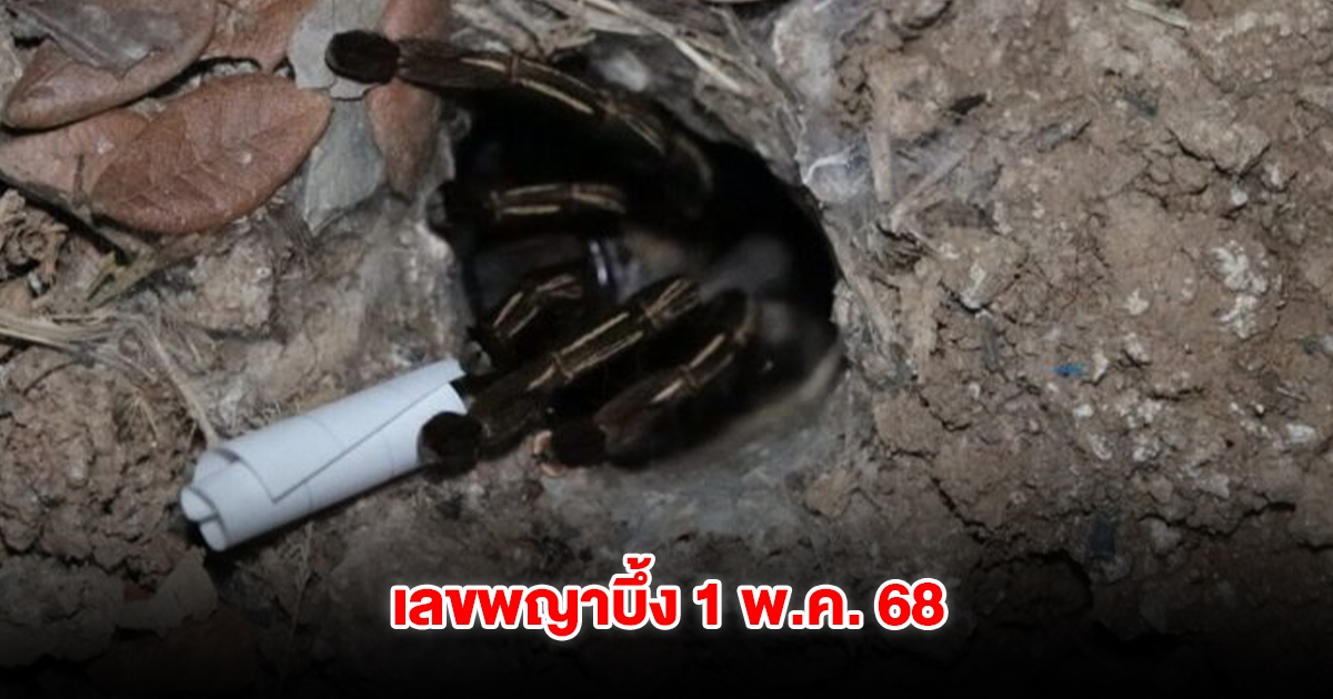 เลขพญาบึ้ง งวดวันที่ 1 พ.ค. 68