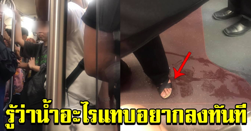 สาวนั่งบีทีเอส