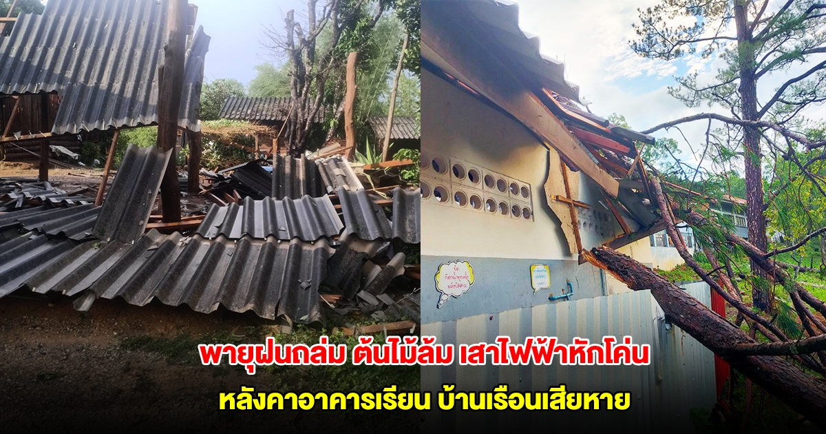 พายุฝนถล่ม อ.อมก๋อย ต้นไม้ล้ม เสาไฟฟ้าหักโค่น หลังคาอาคารเรียน บ้านเรือนเสียหายกว่า 35 หลัง