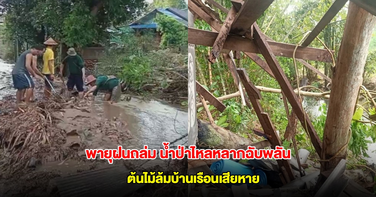 พายุฝนถล่มแม่ฮ่องสอน น้ำป่าไหลหลากฉับพลัน ต้นไม้ล้มบ้านเรือนเสียหาย