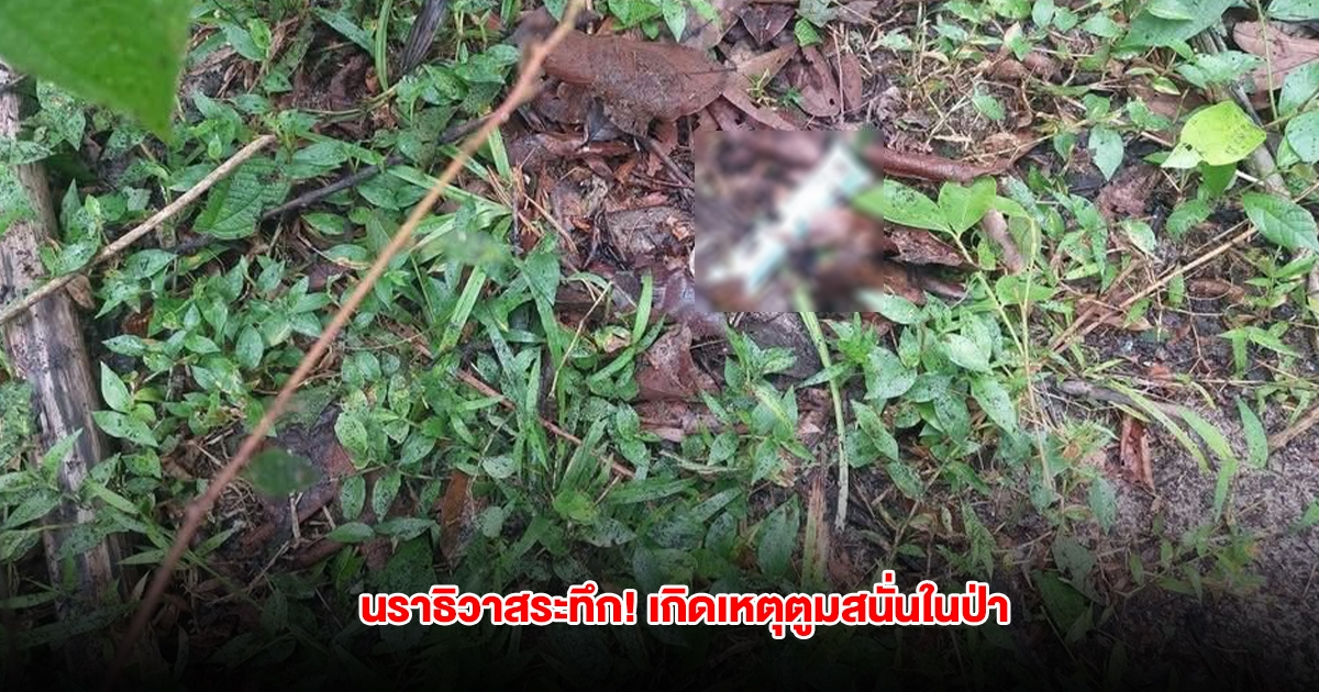 ระทึก! เกิดเหตุตูมสนั่นในพื้นที่ป่าระหว่างชุมชน จ.นราธิวาส