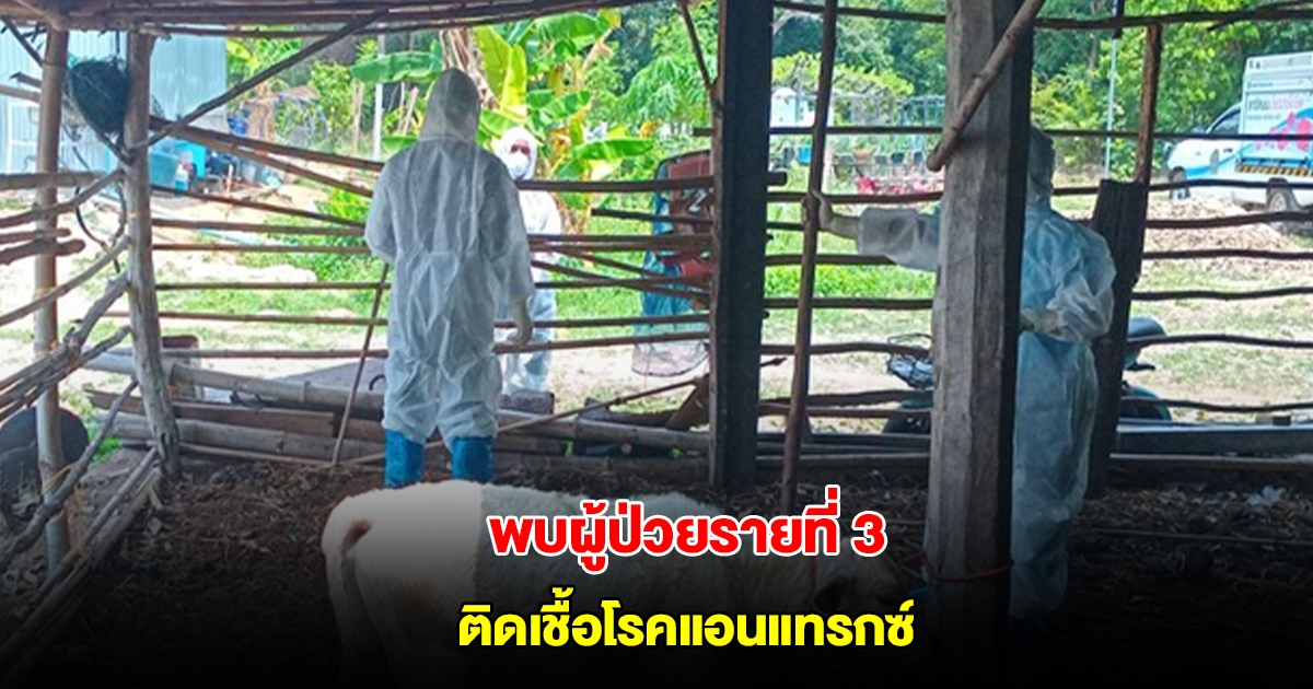มุกดาหาร พบผู้ป่วยติดเชื้อโรคแอนแทรกซ์ เพิ่ม 1 ราย รวม 3 ราย สั่งคุมเข้ม