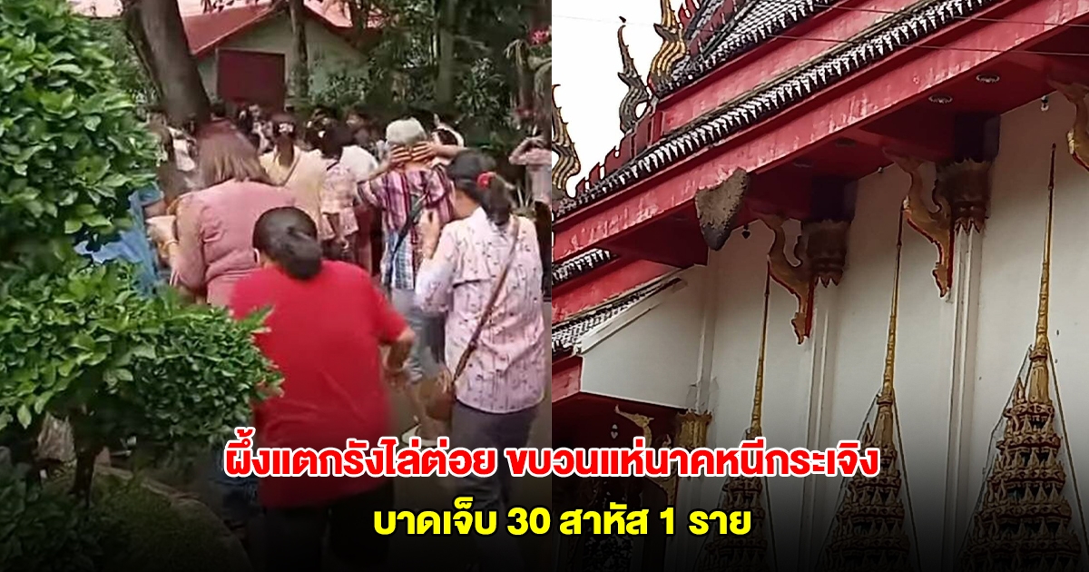 ผึ้งแตกรังไล่ต่อย ขบวนแห่นาคหนีกระเจิง บาดเจ็บ 30 ราย สาหัส 1 ราย
