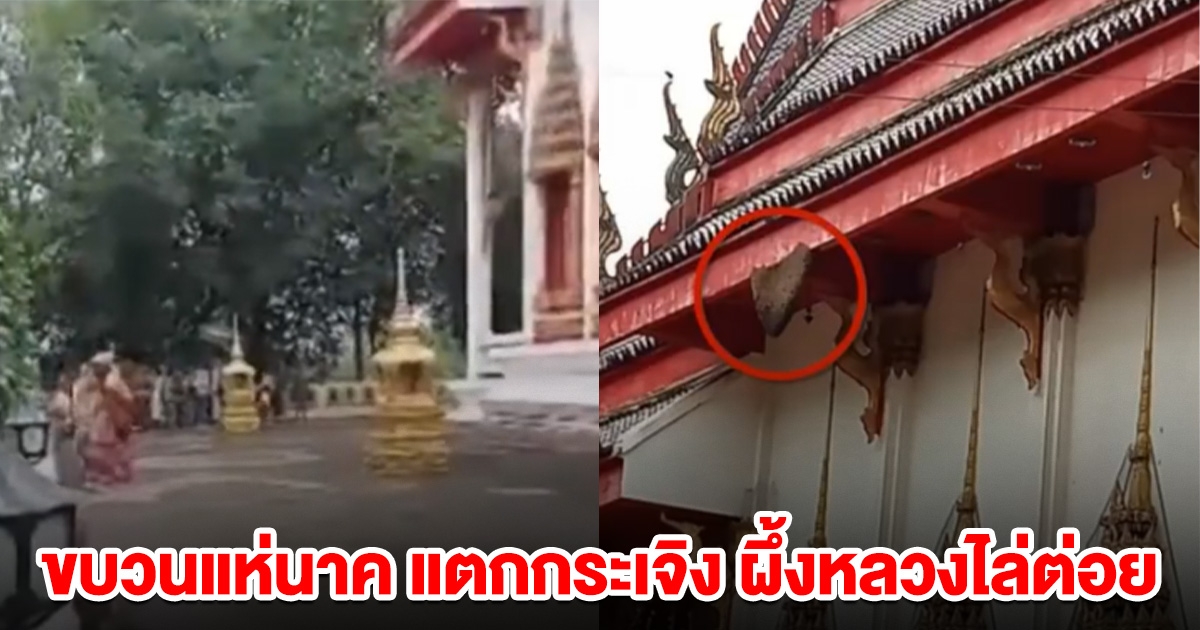 ขบวนแห่นาค แตกกระเจิง ผึ้งหลวงไล่ต่อย เจ็บกว่า 30 คน