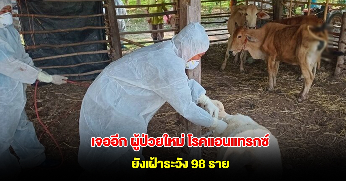 เจออีก ผู้ป่วยใหม่ โรคแอนแทรกซ์ 1 ราย ยังเฝ้าระวัง 98 ราย