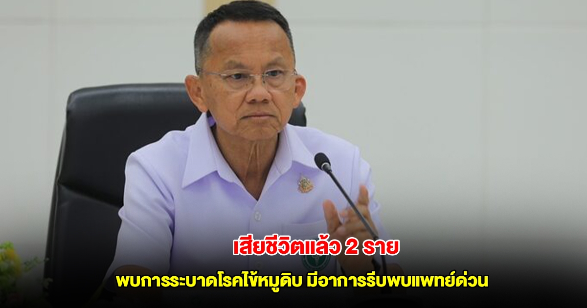 เสียชีวิตแล้ว 2 ราย พบการระบาดโรคไข้หมูดิบ มีอาการรีบพบแพทย์ด่วน