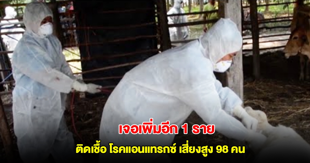 สสจ.มุกดาหาร แจ้ง เจอเพิ่มอีก 1 ราย ติดเชื้อ โรคแอนแทรกซ์ เสี่ยงสูง 98 คน อยู่ในระยะเฝ้าระวัง