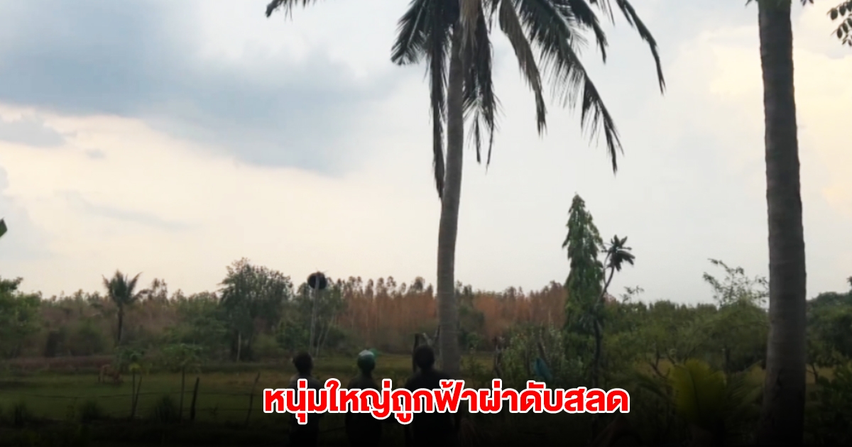 หนุ่มใหญ่ถูกฟ้าผ่าดับสลด ขณะกำลังเดินไปเอาวัวเข้าคอก