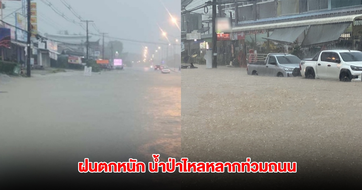 ฝนตกหนัก น้ำป่าไหลหลากท่วมถนน ตะกั่วป่า-ภูเก็ต เตือน 4 อำเภอ เฝ้าระวัง