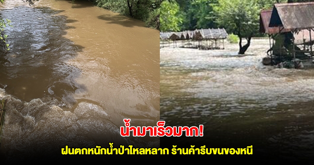 น้ำมาเร็วมาก! ฝนตกหนักตลอดคืน น้ำป่าไหลหลากในแม่น้ำซองกาเลีย ผู้ประกอบการร้านค้ารีบขนของหนี