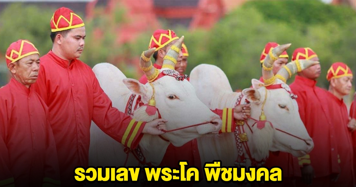 รวมเลข พระโค พืชมงคล 16/5/68