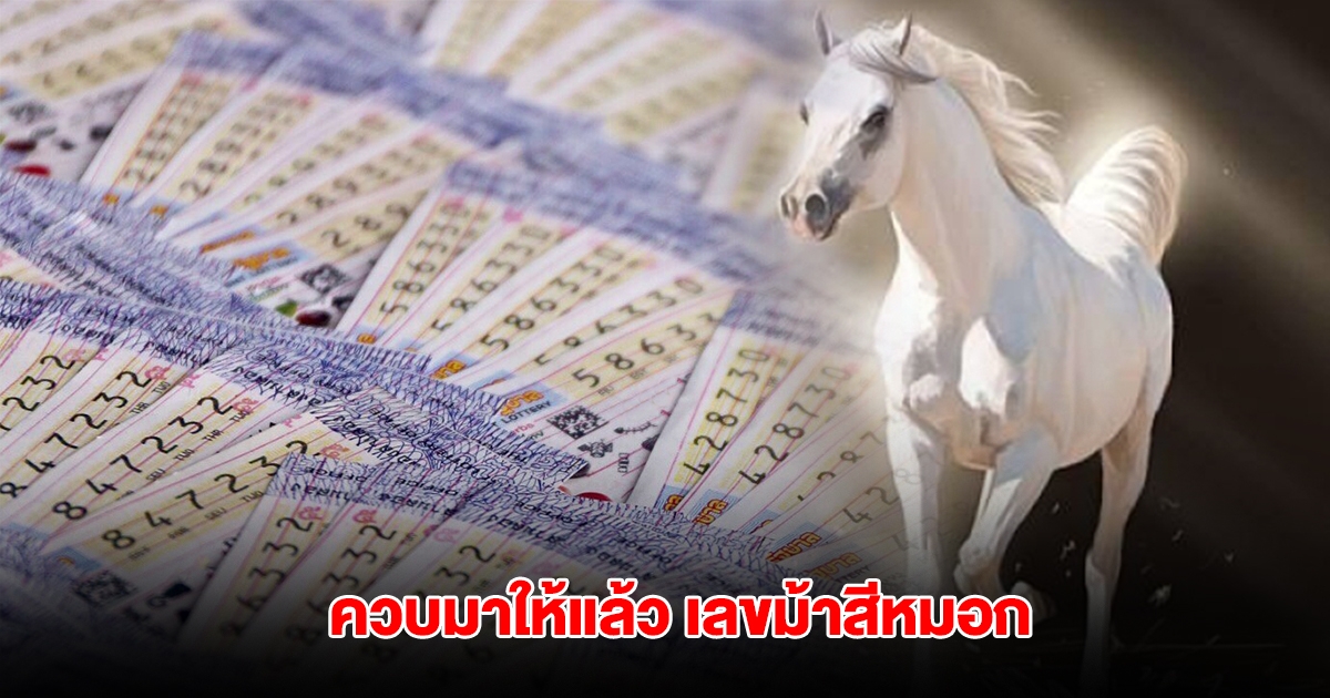 ควบมาให้แล้ว เลขม้าสีหมอก งวดวันที่ 16 พ.ค.68