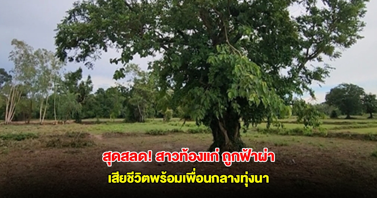 สุดสลด! สาวท้องแก่ 7 เดือน และเพื่อน 1 คน ถูกฟ้าผ่าเสียชีวิตทั้งคู่กลางทุ่งนา