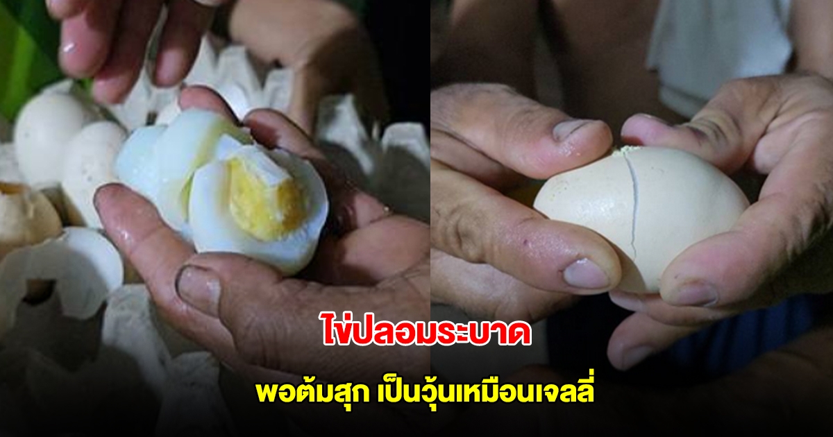 ชาวหนองคายผวา ไข่ปลอมระบาด พอต้มสุกพบเป็นวุ้นเหมือนเจลลี่