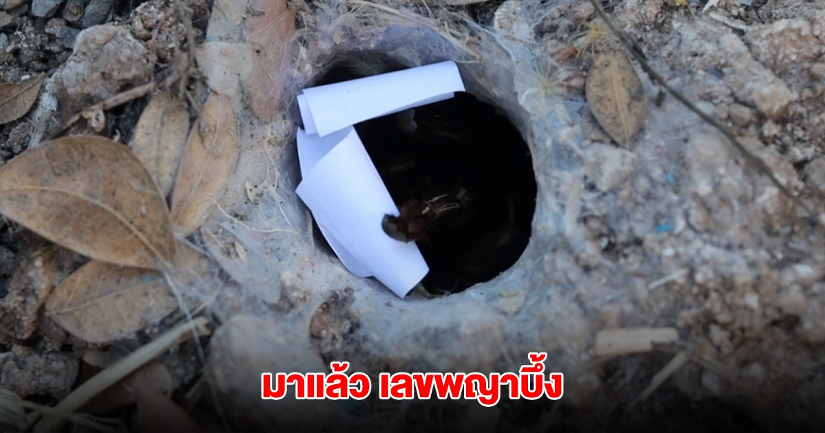 มาตามนัด เลขพญาบึ้ง งวดนี้คาบมาให้เน้นๆ