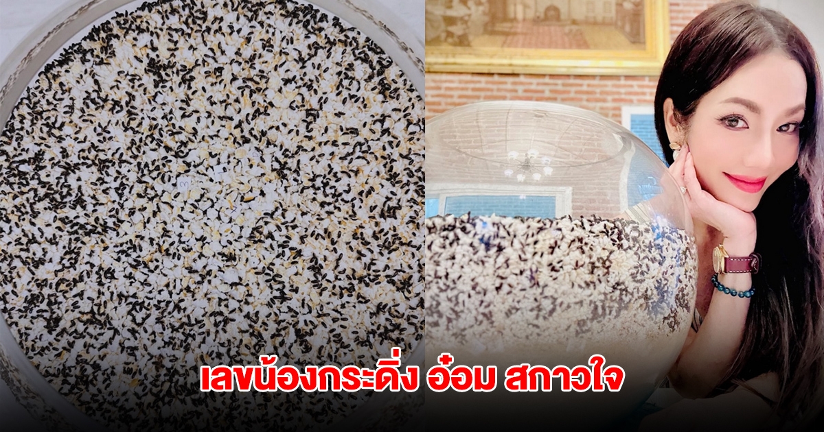 มาแล้ว เลขน้องกระดิ่ง อ๋อม สกาวใจ