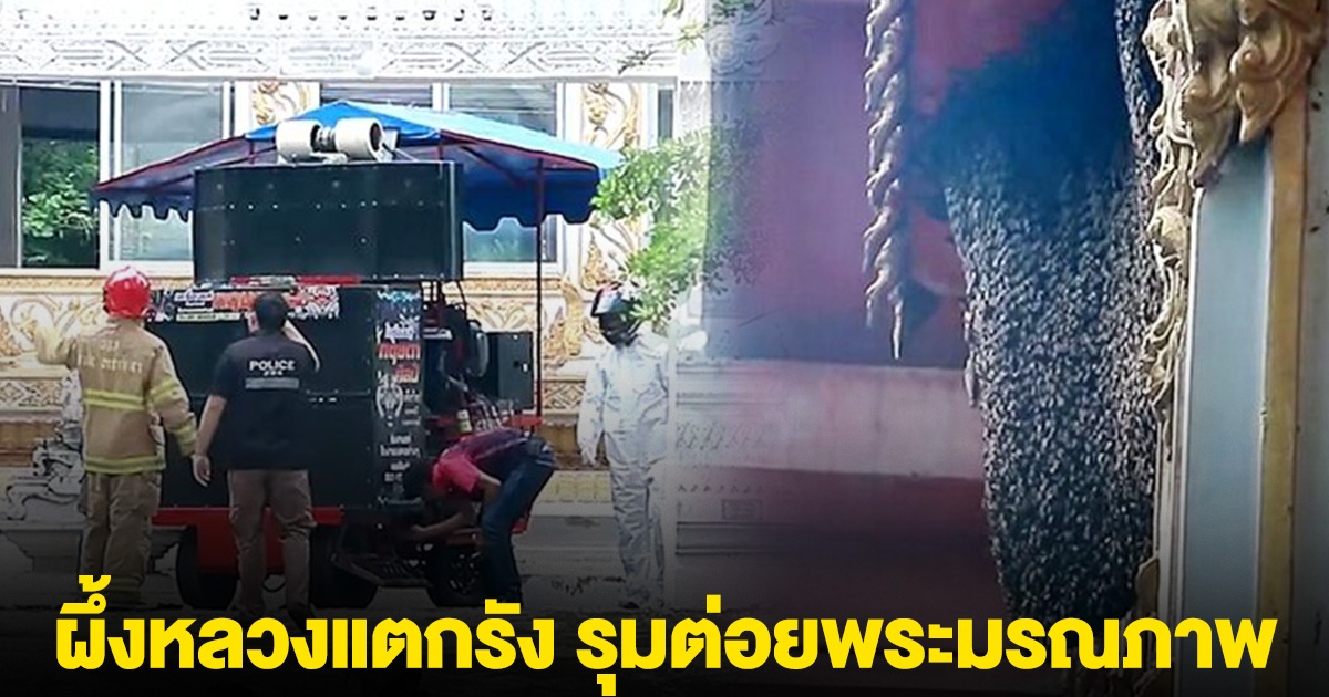 ระทึกงานบวช! ผึ้งหลวงแตกรัง รุมต่อยพระมรณภาพ ชาวบ้านบาดเจ็บกว่า 10 ราย