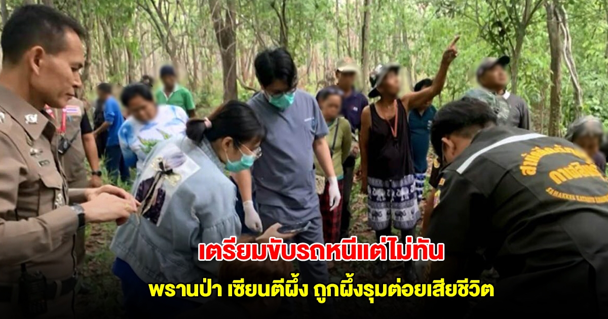 สลด! พรานป่า เซียนตีผึ้ง ถูกผึ้งรุมต่อยเสียชีวิตข้างจยย. มือขวากำกุญแจรถ เตรียมขับหนีแต่ไม่ทัน