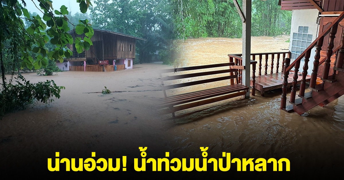 น่านอ่วม! ฝนตกหนักตั้งแต่ตีสาม ทำน้ำท่วมน้ำป่าหลาก