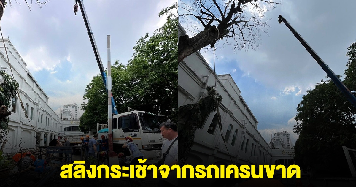 ระทึก! 3 ชีวิต สลิงกระเช้ารถเครนขาด คนงานร่วง เร่งนำตัวส่ง รพ.
