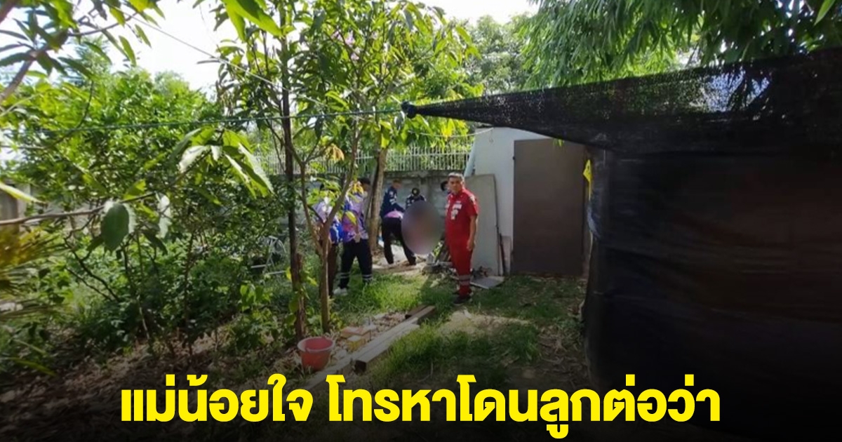 แม่ป่วย คิดถึงลูกสาวเลยโทรหา แต่ถูกต่อว่า น้อยใจจบชีวิตตนเอง