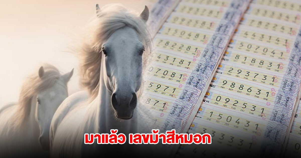 มาแล้ว เลขม้าสีหมอก งวดวันที่ 1 มิ.ย. 68