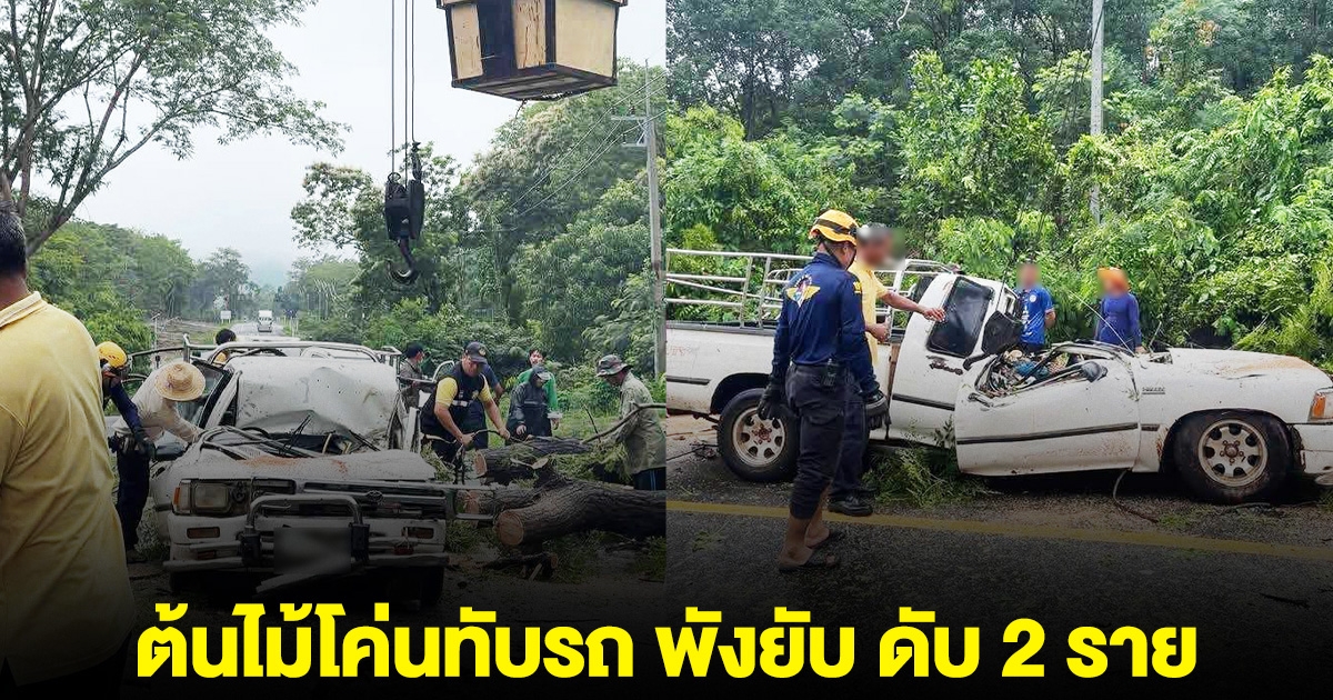 เกิดเหตุสลด ต้นไม้โค่นทับรถปิกอัพ พังยับ ดับ 2 ราย
