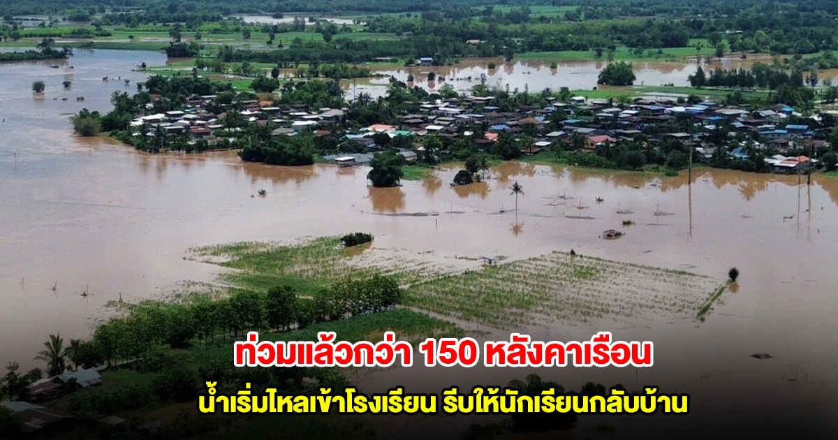 อ.ภูกระดึงอ่วม แม่น้ำพองล้นตลิ่งแล้ว ท่วม 3 ตำบล บ้านเรือนกว่า 150 หลังจมน้ำ สั่งปิดโรงเรียนให้เด็กรีบกลับบ้าน