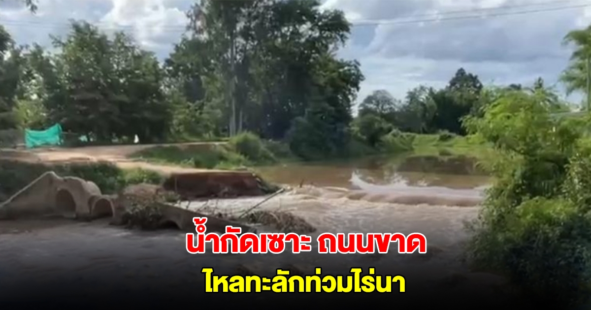 ฝนตกหนักต่อเนื่องหลายวัน น้ำกัดเซาะถนนขาด น้ำไหลทะลักเข้าท่วมไร่นา