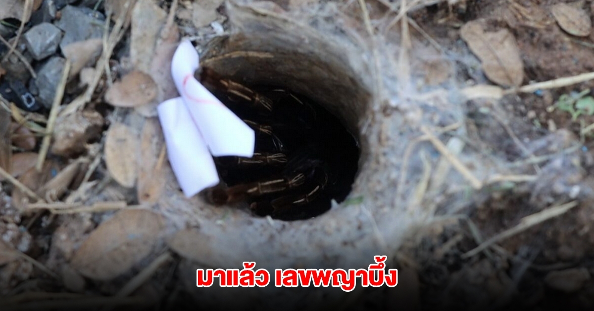 มาแล้ว เลขพญาบึ้ง งวดวันที่ 1 มิ.ย.68
