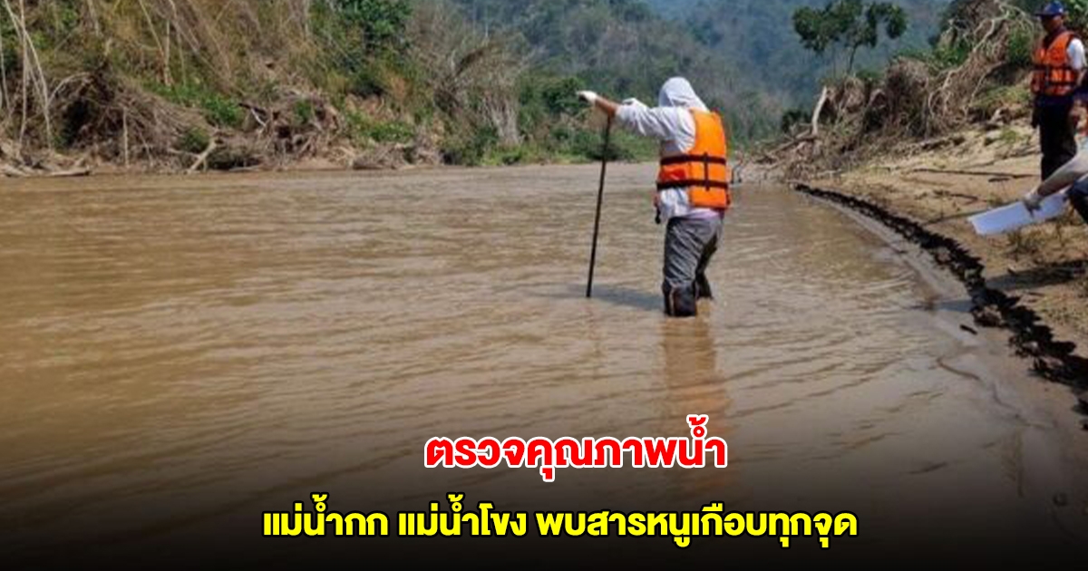 คพ.ตรวจวัดตะกอนดิน แม่น้ำกก แม่น้ำโขง พบสารหนูเกือบทุกจุด ไม่ปลอดภัยต่อสัตว์หน้าดิน