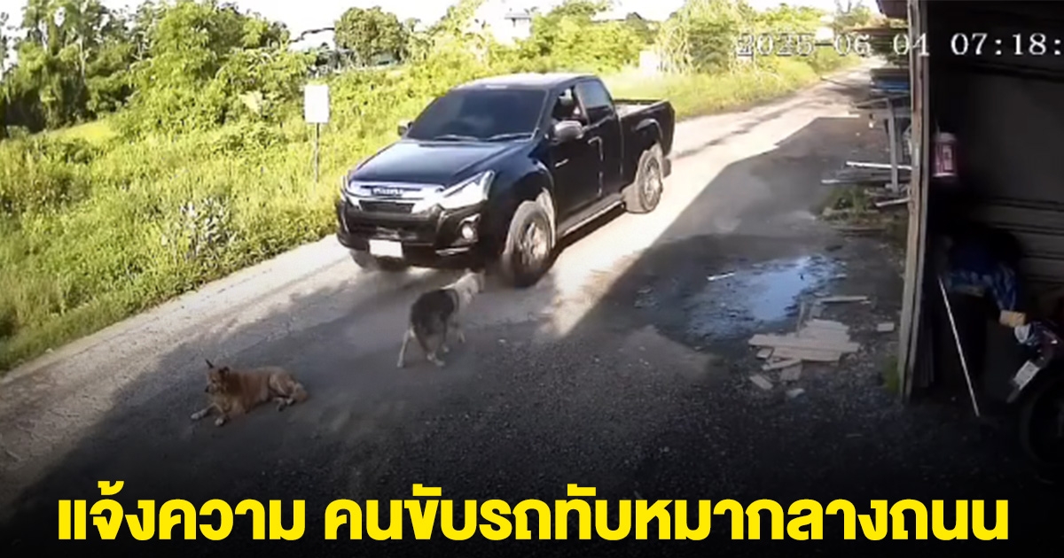 เจ้าของหมา แจ้งความเอาผิด คนขับรถทับหมากลางถนน WDT รับเรื่องร้องเรียน