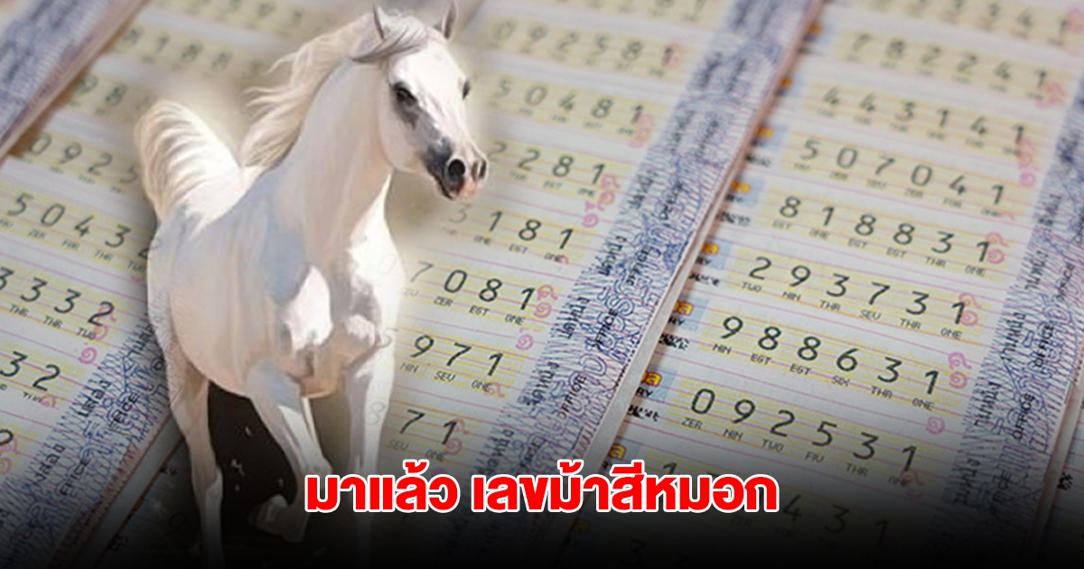 มาแล้ว เลขม้าสีหมอก งวด 16 มิถุนายน 2568