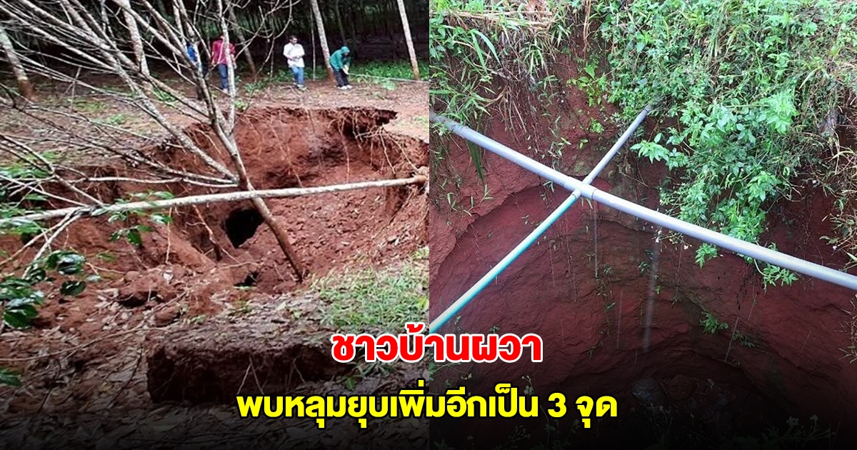 ชาวบ้านผวา พบหลุมยุบในสวนยาง-ทุเรียน ขยายเพิ่มอีกเป็น 3 จุด