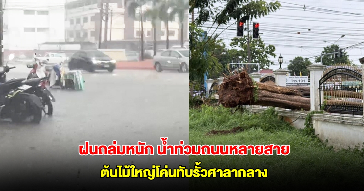 เลยอ่วม! ฝนถล่มหนัก น้ำท่วมถนนหลายสาย ต้นไม้ใหญ่โค่นทับรั้วศาลากลาง