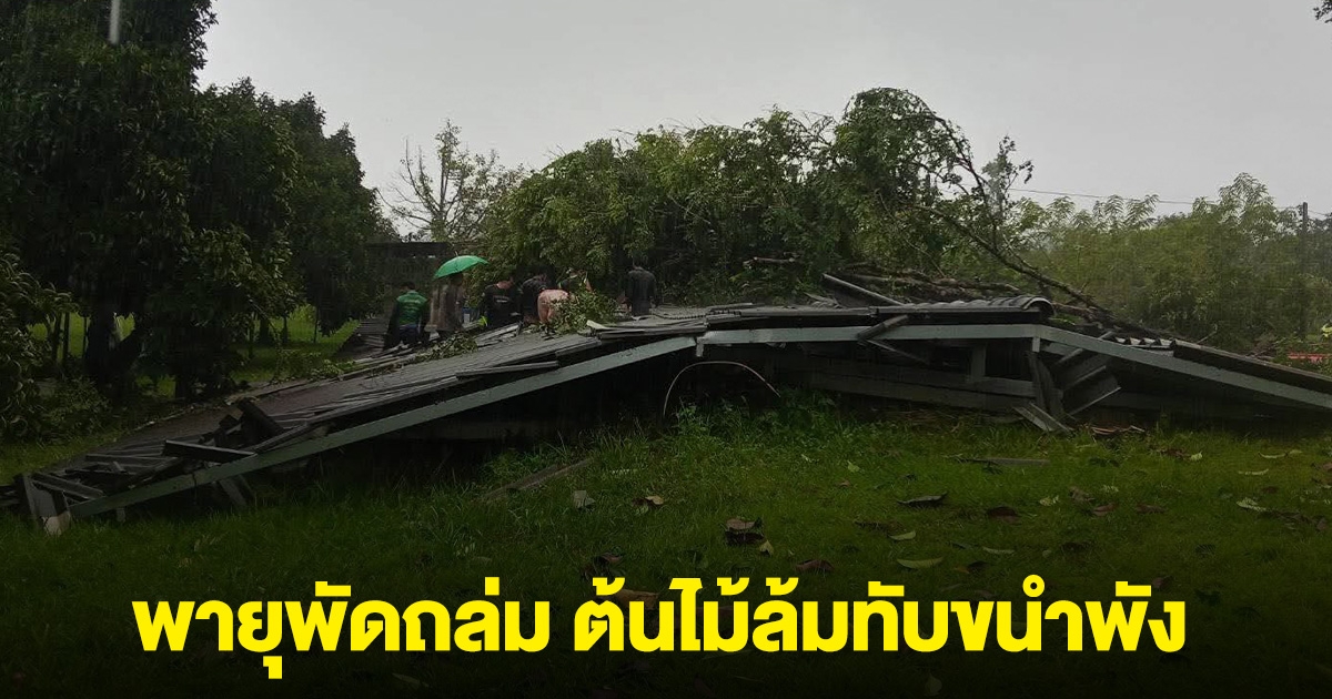 ด่วน! 10 ขวบเสียชีวิต พายุพัดถล่ม ต้นไม้ล้มทับขนำพัง