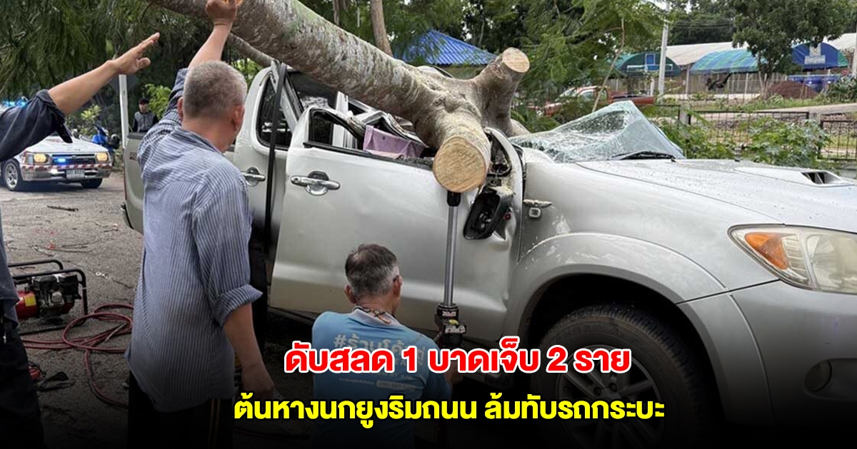 สลด! ต้นหางนกยูงริมถนน ล้มทับรถกระบะ เสียชีวิตคาที่ 1 บาดเจ็บ 2 ราย